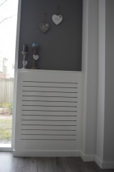 radiator 1.jpg