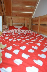 bed 23.jpg